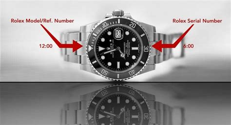 how to find rolex model number